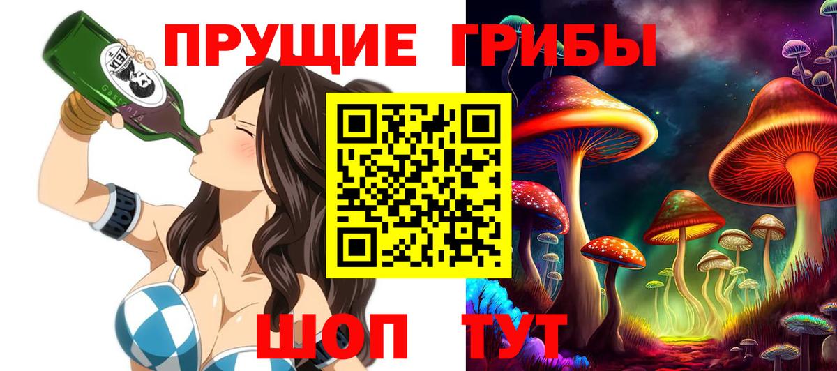Кириши  Галлюциногенные грибы Magic Shrooms  Вход с VPN 